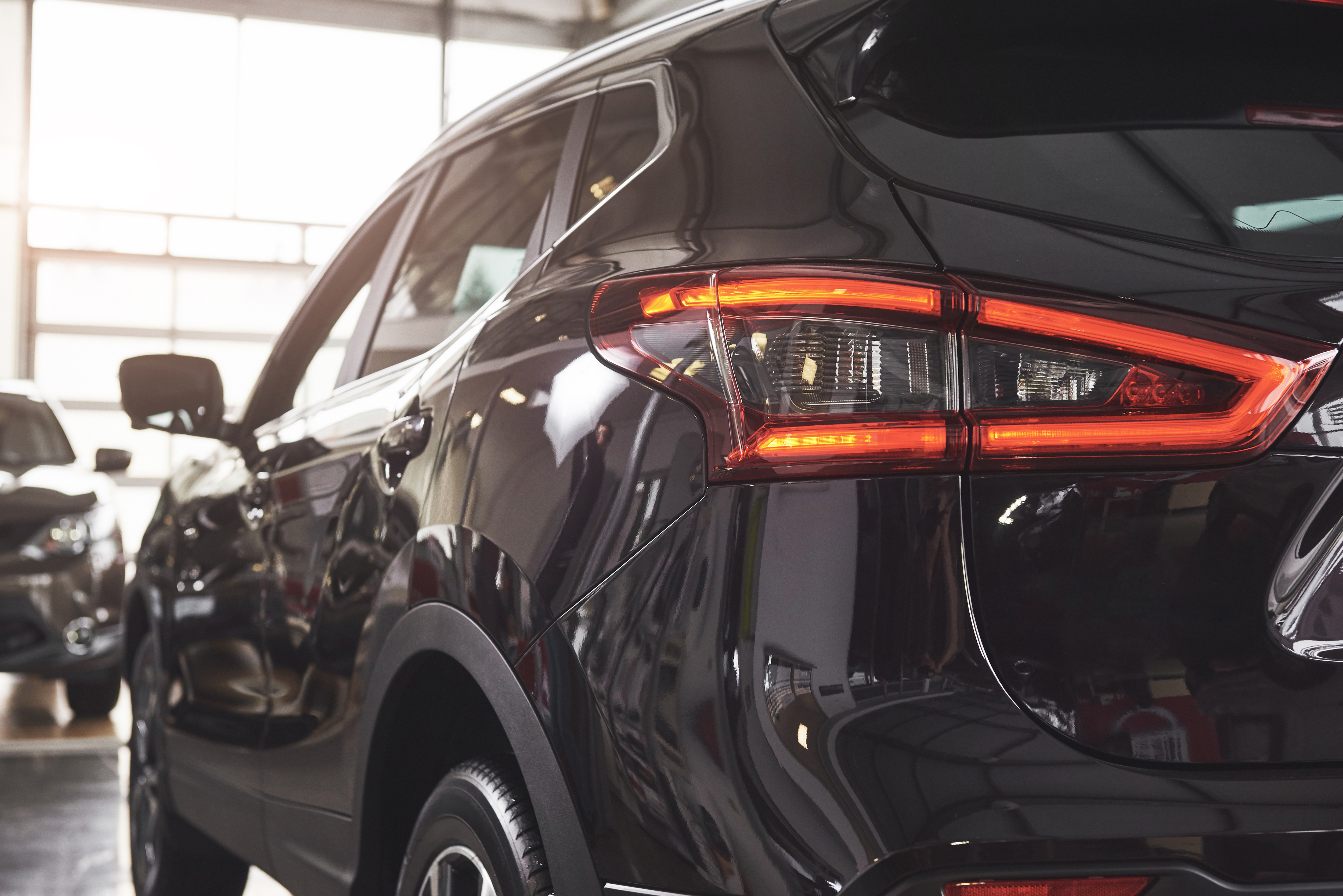 Mildenberger Premium Vehicle Search Service